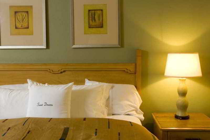 Doubletree By Hilton Tucson-Reid Park Ξενοδοχείο Δωμάτιο φωτογραφία